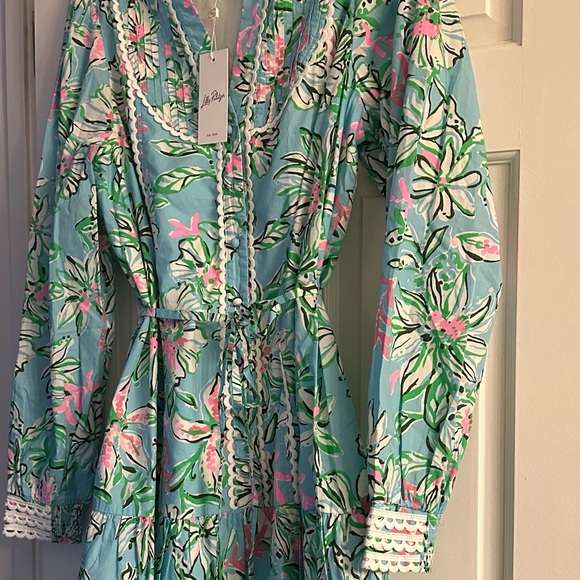 Lilly Pulitzer Arletta Dress in Multi Sun of a Bun print - Picture 5 of 6